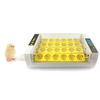 Automatikus digitális tojáskeltető YZ24A